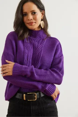 Woman Purple Stand-up Collar Middle Braided Knit Sweater KZK-19000912-Purple - OLALOOK (1)