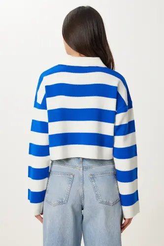 Woman White Blue Stylish Buttoned Collar Striped Crop Knitwear Sweater BV00115-White Blue - 5