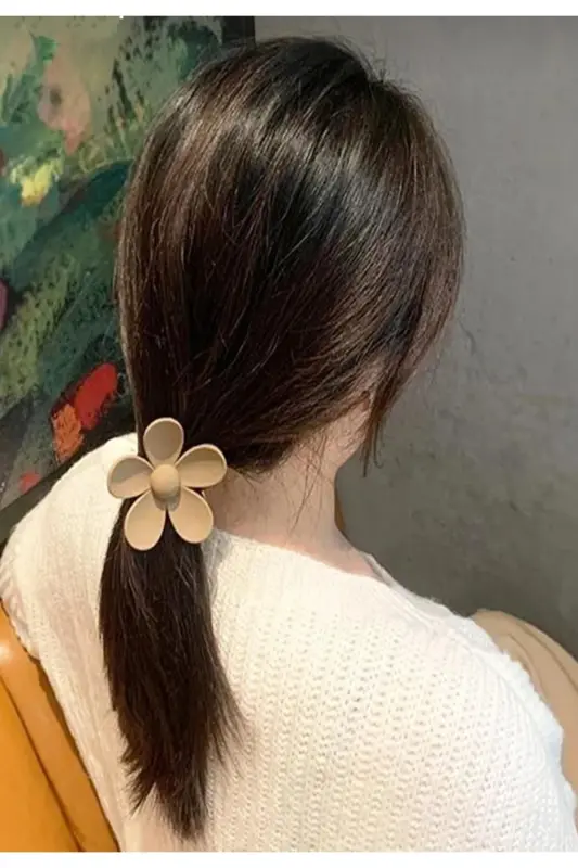 Women Daisy Brown Hair Clip Set of 3-Brown/Black/Beige - 2