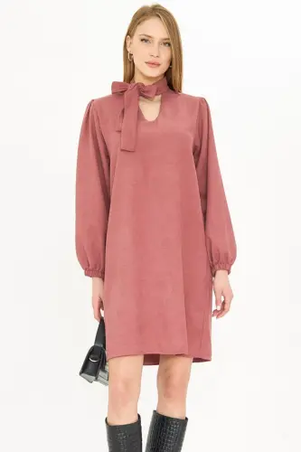 Women Rose Gold Collar Tie Sleeve Elastic Velvet Dress ARM-25K001087-Rose Gold - 2