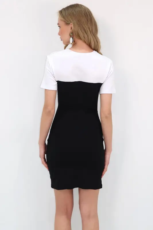 Women's Black Crew Neck Front Draped Color Block Sandy Dress ALC-X11583 - 5