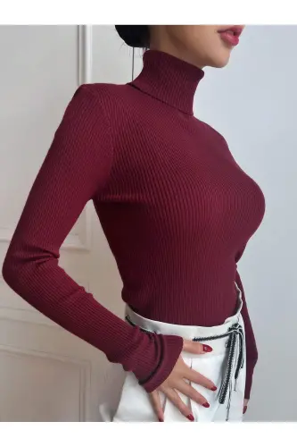 Women's Burgundy Cotton Turtleneck Brushed Slim Fit Sweater-Biscuit - 3