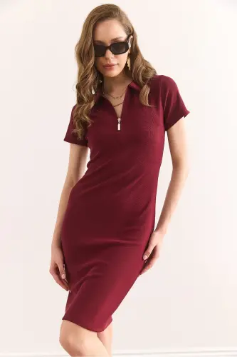 Women's Burgundy Polo Neck Zippered Fine Ribbed Dress - 6
