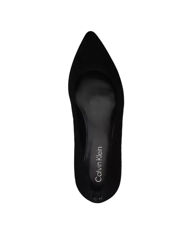 Women's Lenott Pointy Toe Block Heel Pumps - Black Suede - 4
