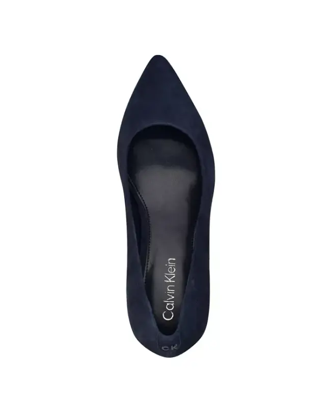 Women's Lenott Pointy Toe Block Heel Pumps - Navy Suede - 4