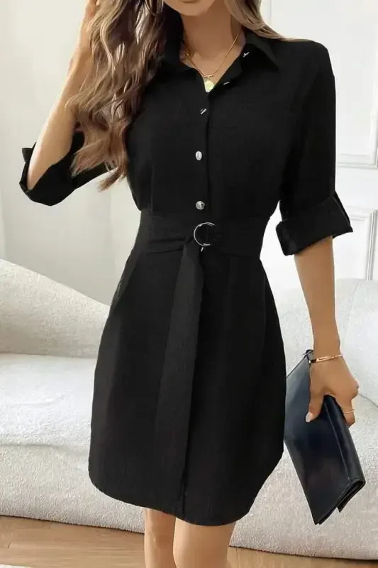 Women's Long Sleeve Collar Button-Down Belted Mini Imported Linen Dress - 3