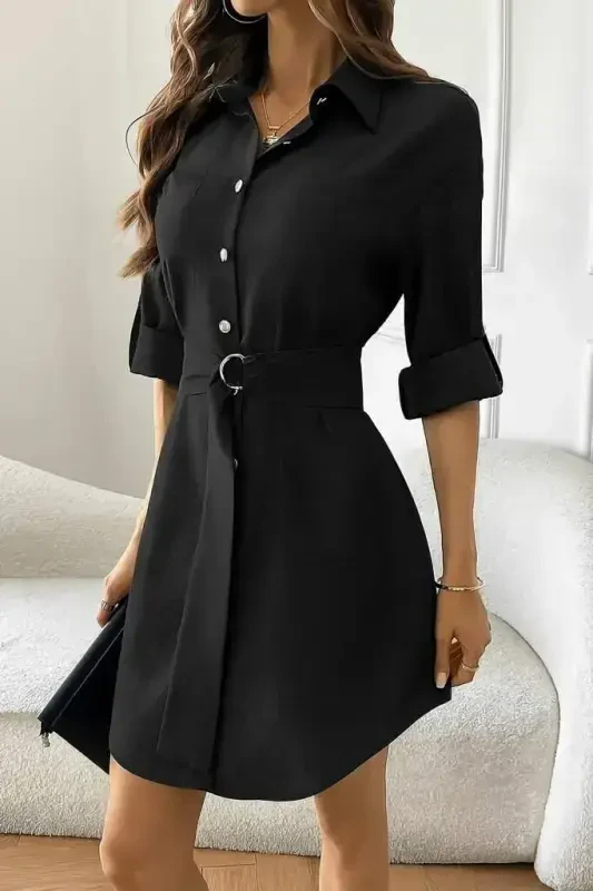 Women's Long Sleeve Collar Button-Down Belted Mini Imported Linen Dress - 4