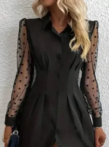 Women's Long Sleeve Collar Buttoned Mini Imported Crepe Dress - 2