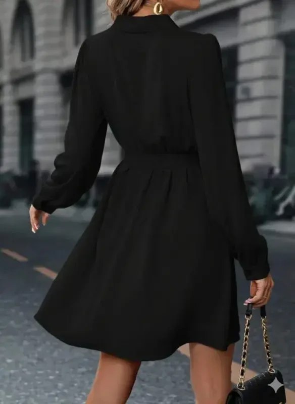 Women's Long Sleeve Crossover Neck Belted Mini Double Layered Imported Crepe Dress - 2