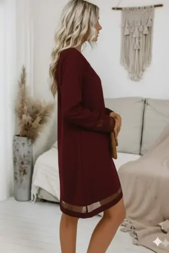 Women's Long Sleeve V Neck Tulle tape Detailed Mini Crepe Dress - 2