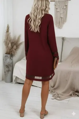 Women's Long Sleeve V Neck Tulle tape Detailed Mini Crepe Dress - 3