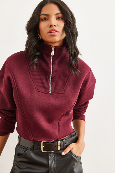 Women's Maroon High Neck Zippered Thistle Embroidered Crop Thick Sweatshirt SWT-19000696 - 2
