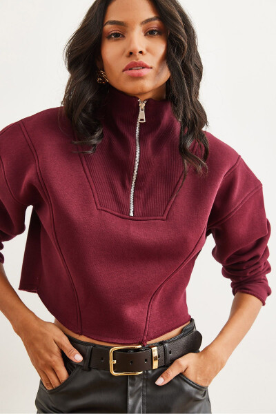Women's Maroon High Neck Zippered Thistle Embroidered Crop Thick Sweatshirt SWT-19000696 - 3