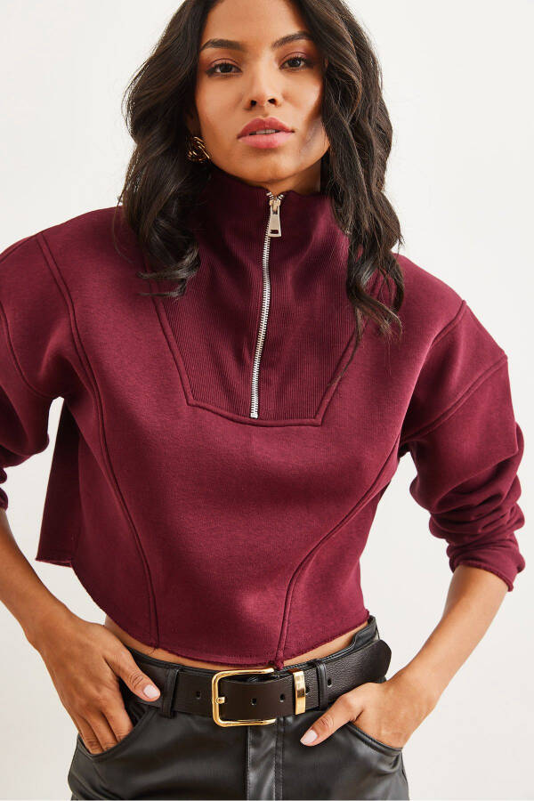 Women's Maroon High Neck Zippered Thistle Embroidered Crop Thick Sweatshirt SWT-19000696 - 3