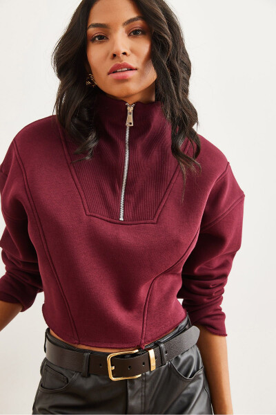 Women's Maroon High Neck Zippered Thistle Embroidered Crop Thick Sweatshirt SWT-19000696 - 4