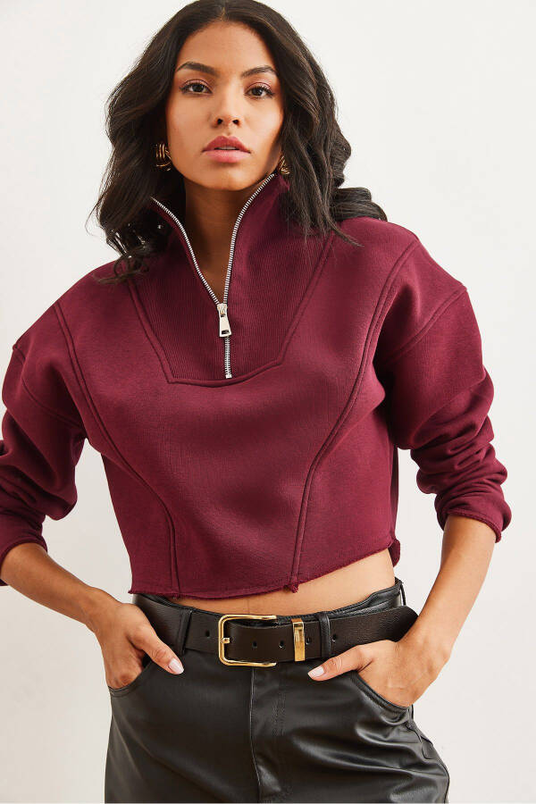 Women's Maroon High Neck Zippered Thistle Embroidered Crop Thick Sweatshirt SWT-19000696 - 6