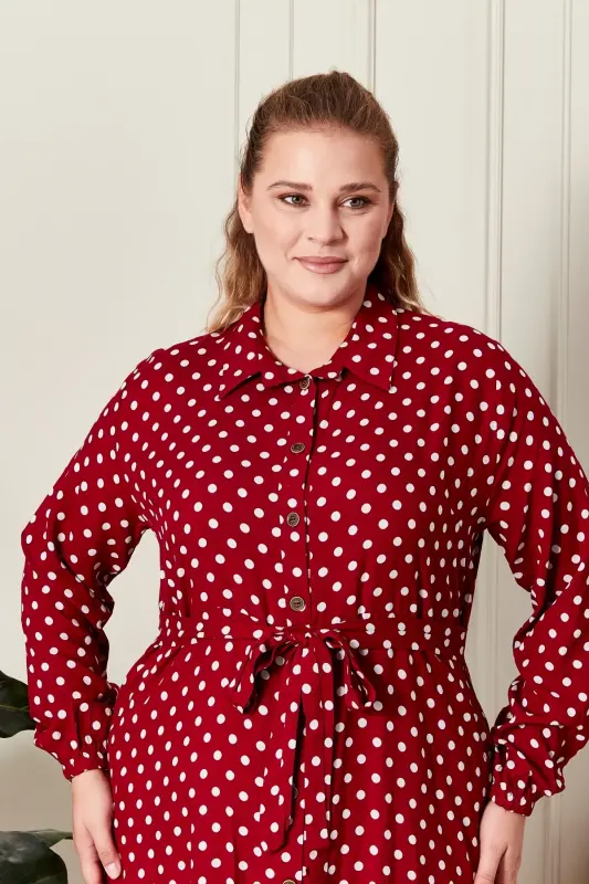 Women's Plus Size Polka Dot Dress - 2