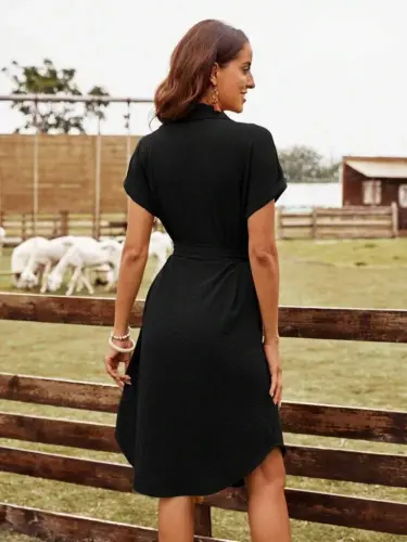 Women's Short Sleeve Collared Button-front Belted Seersucker Dress - 4