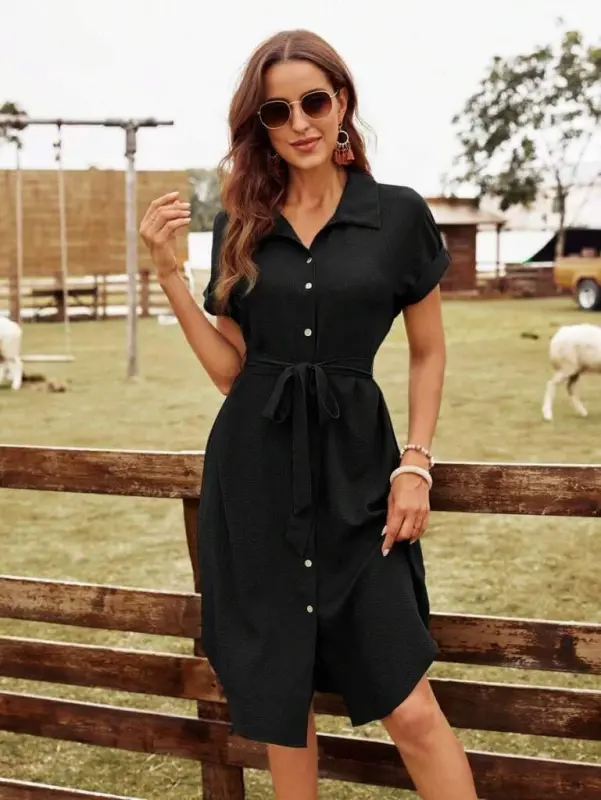 Women's Short Sleeve Collared Button-front Belted Seersucker Dress - 6