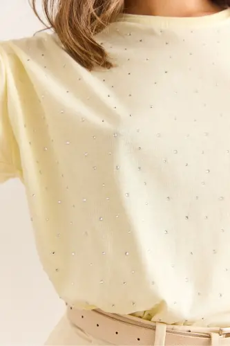 Women's Yellow Print Stone Detailed Regular Fit T-Shirt TS - 7