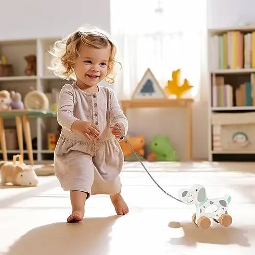 WoodenEdu Baby Toys Car, Yog'och Tortib Olinadigan Bola Oyunchoqlari, 1 Yoshli Qiz Va O'g'il Bolalar Uchun Rivojlantirish O'yinchoqlari, Tug'ilgan Kun Sovg'asi (It) - 4