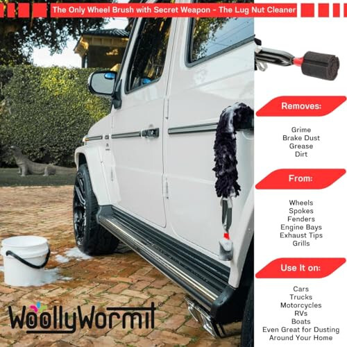 Woollywormit Wheel Cleaning Brush Car Detailing Kit - Rim Brush, Lug Nuts and Wheel Cleaner Brush Car Wash Kit - Tire Brushes for Cleaning Rims - Car Cleaning Supplies and Rim Cleaner Brush Set - 12