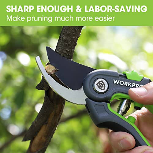 WORKPRO Bypass Pruning Shears, 8’’ Stainless Steel Gardening Hand Pruner, Professional Garden Trimming Scissors with Sharp SK5 Steel Blades, Ideal Garden Tool, Green - 6