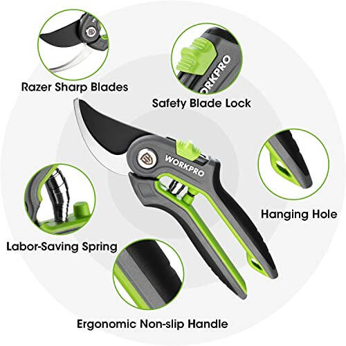 WORKPRO Garden Pruning Shears 2 Pack, 8” Bypass Pruning Shears and 6.25” Straight Garden Scissors, Premium Plant Shears, Garden Clippers Hand Tools for Cutting Flowers, Trimming Plants, Picking Fruits - 3