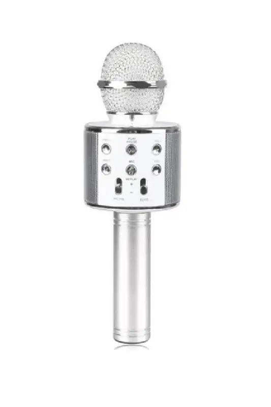 Wster Karaoke Microphone with Built-in Speaker and USB Flash Drive Support WS-858 - FİOPLUS