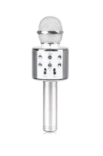 Wster Karaoke Mikrofon, Dahili Hoparlörlü, USB Flash Destekli WS-858 