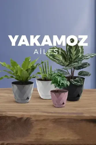 Yakamoz Saksı 9,2 Litr Suv Yashili 27,5sm Baklava Desenli O'zidan Tabakli Yaltiroq Plastik-QAHVA - 7