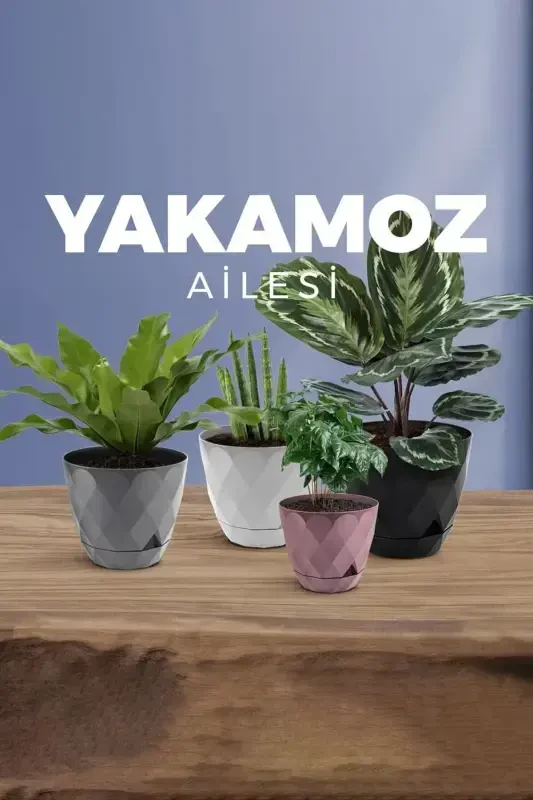 Yakamoz Saksı 9,2 Litr Suv Yashili 27,5sm Baklava Desenli O'zidan Tabakli Yaltiroq Plastik-QAHVA - 7