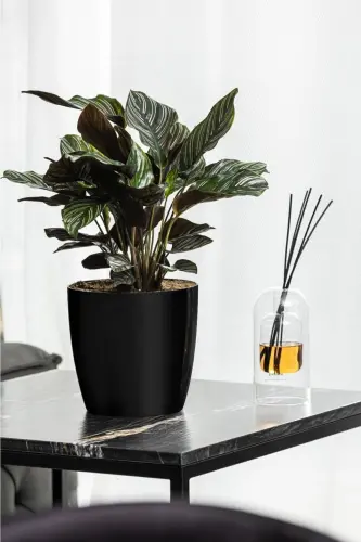 Yakut 7.4 Liter Black Pot - SERİNOVA (1)
