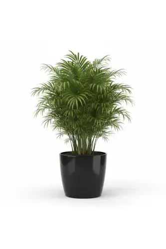 Yakut 7.4 Liter Black Pot - 1