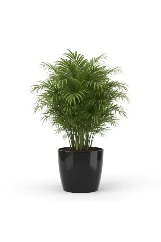 Yakut 7.4 Liter Black Pot - 1