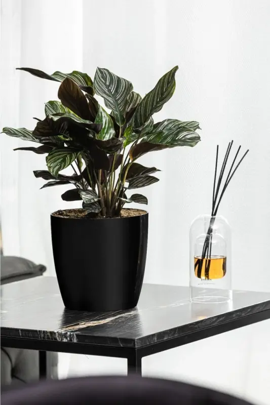 Yakut 7.4 Liter Black Pot - 2