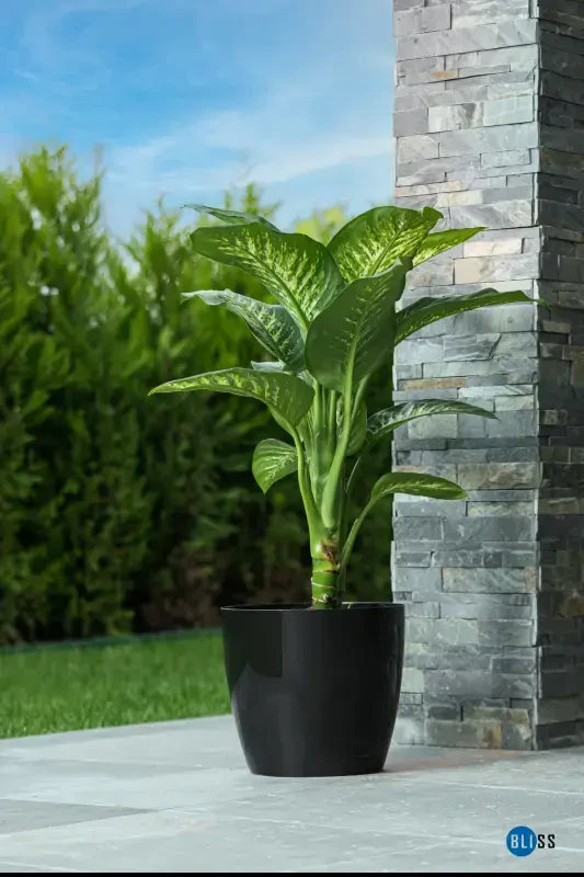 Yakut Parlak Dekoratif Plastik Çiçek Masa Saksısı 22 Litre Iç & Dış Mekan Siyah Saksı-Siyah - 1