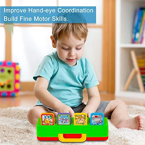 YEEBAY Interaktiv Pop Up Hayvonlar O'yinchoqi, Musiqa, Hayvon Ovozi, 9-12 Oy, 1 Yil, Bolajonlar, Chaqaloqlar, Kichkintoylar, O'g'il & Qizlar uchun Faol O'yinchoqlar - 4