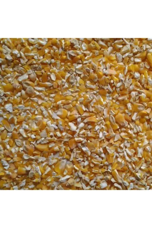 Yemlik Mısır Kırık Mısır 10 Kg Tavuk Yemi Kuş Yemi Güvercin Yemi Hayvan Yemi - 3