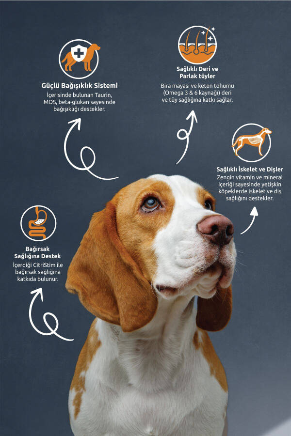 Yetişkin Kuzu Etli Köpek Maması 10 Kg - 2