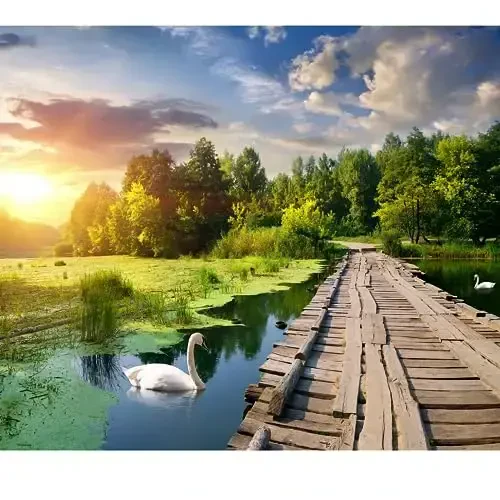1000 Piece Puzzle for Adults – Golden Hour Lake with Wooden Bridge & Swans, Gift-Ready Box, Letters on Back, 8 Jigsaw Puzzle Saver Sheets & Full-Size Poster by GERJATO – Ideal Gift for Loved Ones - 1