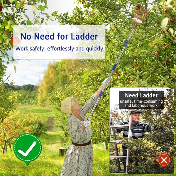 YeYeBest Fruit Picker Pole with Basket,8ft Adjustable Height Fruit Picker Tool with Stainless Steel Fruit Picking Pole for Apple OrangeModazone- - 5