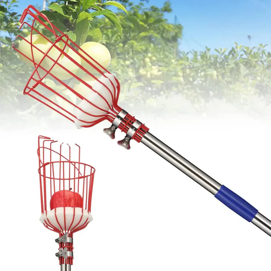YeYeBest Fruit Picker Pole with Basket,8ft Adjustable Height Fruit Picker Tool with Stainless Steel Fruit Picking Pole for Apple OrangeModazone - 1