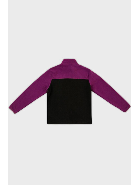 Mor Yumuşak Dokulu Fermuarlı Renk Bloklu Dik Yaka Cepli Polar 5905001-Mor - 9