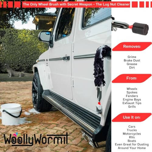 Woollywormit Wheel Cleaning Brush Car Detailing Kit - Rim Brush, Lug Nuts and Wheel Cleaner Brush Car Wash Kit -Tire Brushes for Cleaning Rims - Car Cleaning Supplies and Rim Cleaner Brush Set - 12