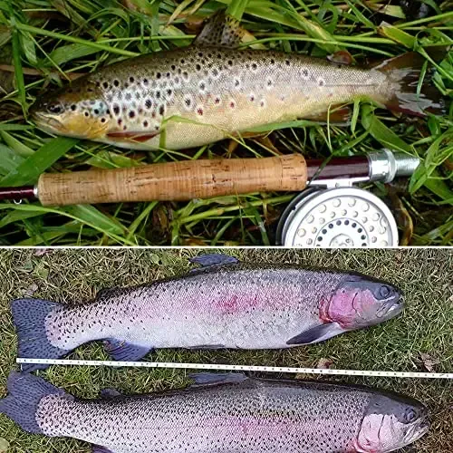 YZD Realistic Fly Fishing Dry Wet Nymph Trout Flies Topwater Lures for Freshwater Saltwater High Simulation Hand Tie Lure Kits - 7