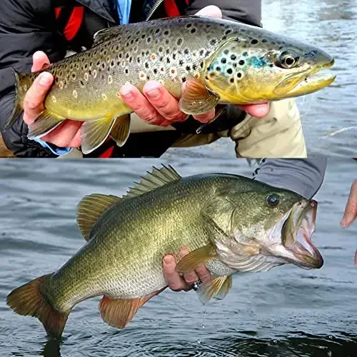 YZD Realistic Fly Fishing Dry Wet Nymph Trout Flies Topwater Lures for Freshwater Saltwater High Simulation Hand Tie Lure Kits - 7