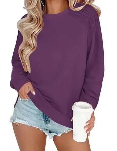 Zeagoo Tunic Sweatshirts for Women Crewneck Lightweight Sweaters Raglan Long Sleeve Shirts Spring Fashion Tops 2026 - Zeagoo