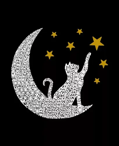Женская футболка с длинным рукавом с рисунком кошки, луны и надписью Women's Word Art - 3