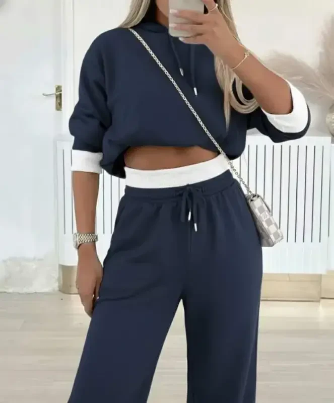 Женский Длинный Рукав С Капюшоном Вискоза Двухниточный Дымчатый Блузка И Брюки Костюм Двойка - BÜYÜKBEDENIZ